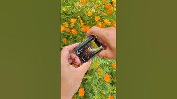 Spin Your Creativity into Full Bloom #videography #creative #shorts