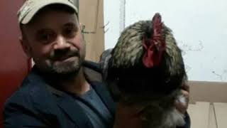 Kedi Production - Dj Kedi Ft. Tren Nuri Mesai