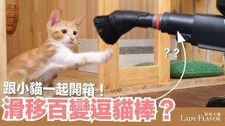 小貓開箱什麼都是逗貓棒【好味貓開箱】EP4