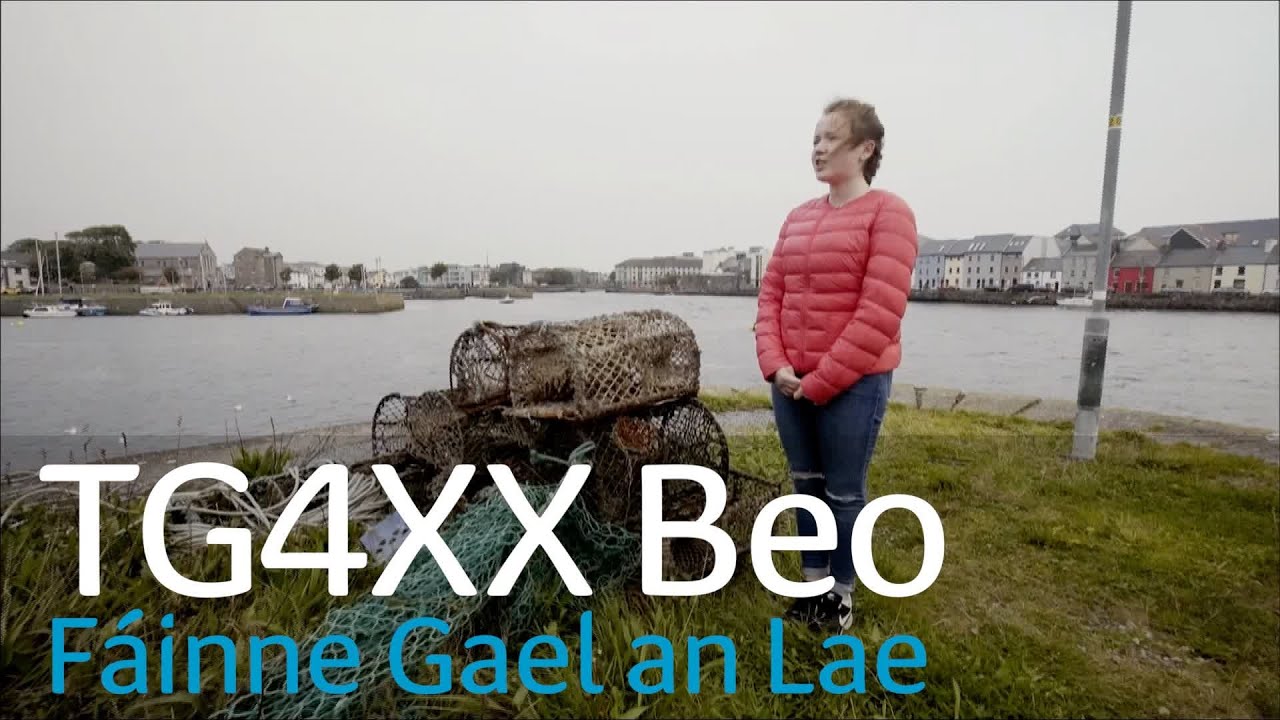 TG4XX | Fáinne Gael an Lae