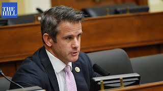 Pro-Trump candidate BLASTS Rep. Adam Kinzinger in video announcing primary bid