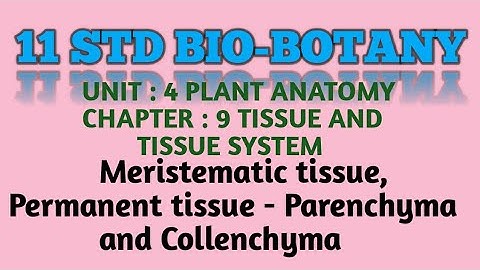 11 std Bio-Botany Unit :4/chapter/9 Tissue and Tissue system - Meristematic tissues,Permanent tissue