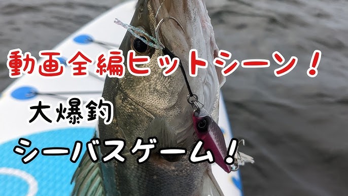 シーバス 小規模河川の奥の手 小型ジャークベイトの釣れるリズム完全解説 Youtube シーバス 小規模河川の奥の手 小型ジャークベイトの釣れるリズム完全解説 Youtube