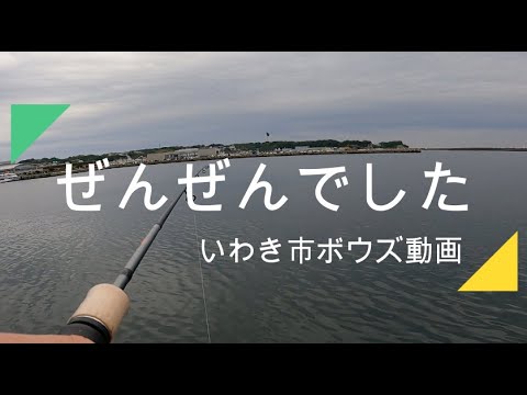 いわき市釣り サーフでボウズ 延長戦の港でも 小名浜港2号埠頭 Youtube いわき市釣り サーフでボウズ 延長戦の港でも 小名浜港2号埠頭 Youtube
