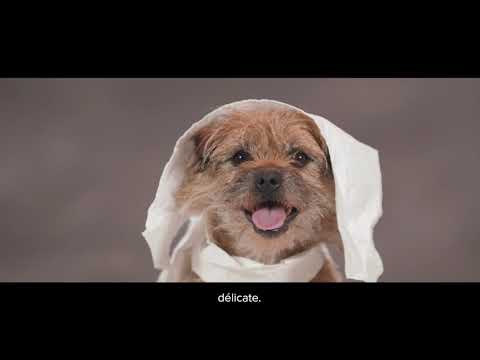 Ultradiar 200 gélules - vidéo 1
