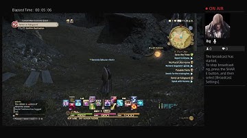 FFxiv black mage leveling