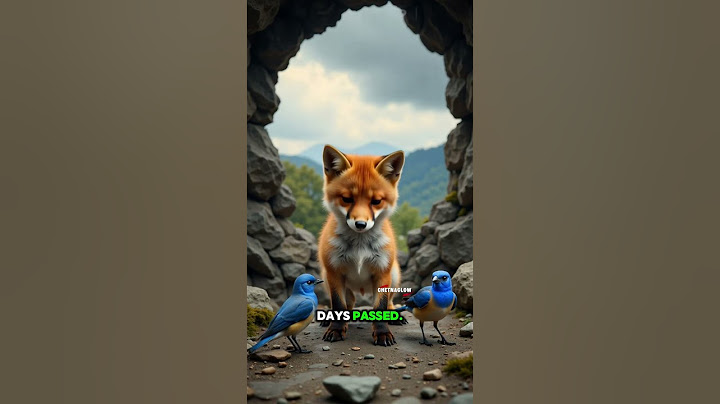 The Blue Bird Who Healed a Baby Fox’s Broken Hope 🦊💙