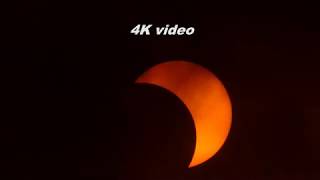 Celebrity 2017 Solar Eclipse 4K Video Profile