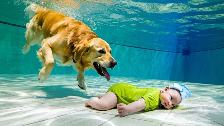 BEST of Hero Animals That Saved Human Lives 2026