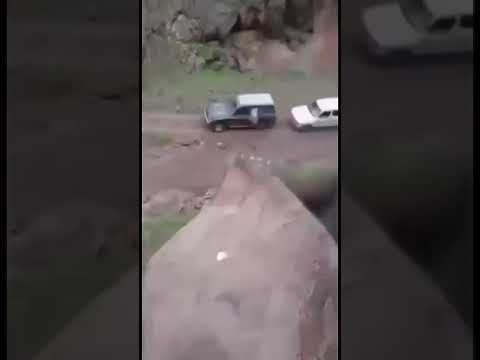 على الشاي عيني على الشاي