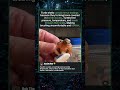 Turtle Shells Are Sensitive