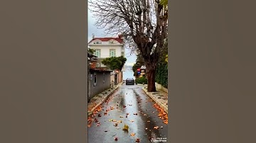 تلاوة عطرة#  سورة  العاديات