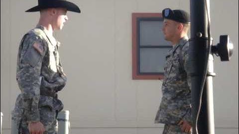 Article 15... part 2