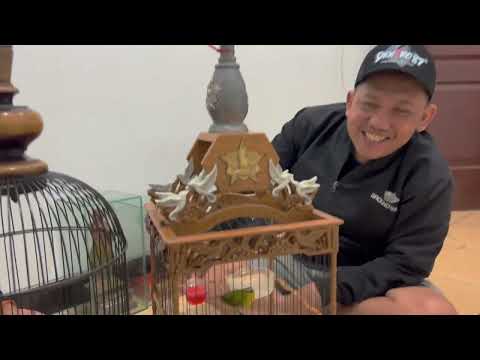 Heartbroken Father: Masoud’s Return Fails as Even His Children Turn Away!