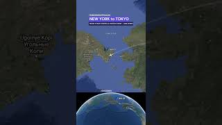 New York To Tokyo Flight Nh109  Flight And Distance