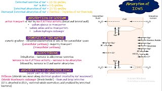 Absorption of IONS. Chapter 66 (part 5). Guyton and Hall Physiology.