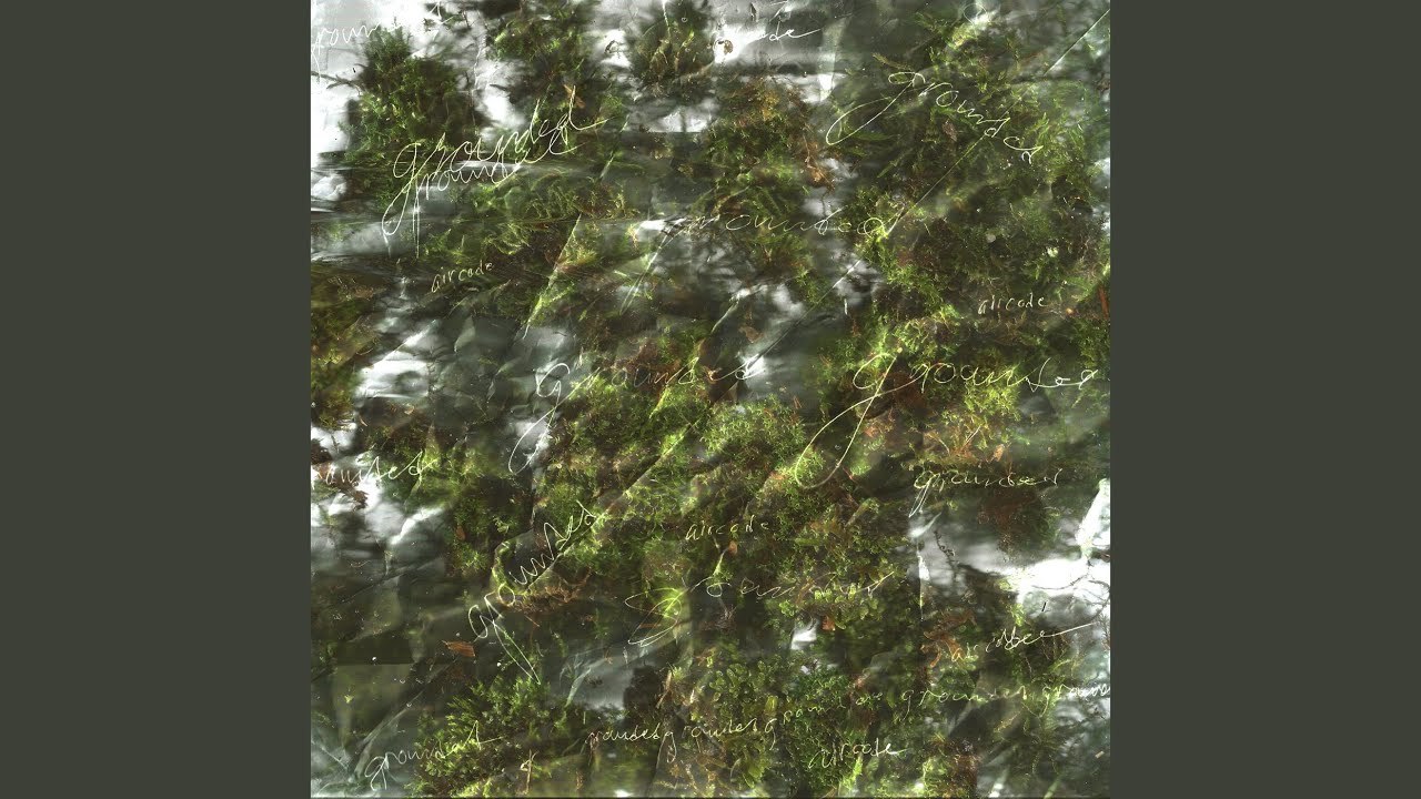 Watch Reverse on YouTube Watch Reverse on YouTube