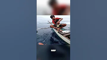 You D Never Imagine That This Simple Set Of Tools Could Bring About Amazing Harvests Fishing Fun 