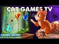Ultimate CAT TV－Stimulating Cat Games That Keep Indoor Cats Entertained All Day😸Video for Happy Cats