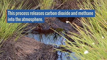 New Arctic Lakes Could Soon Be a Major Source of Atmospheric Methane