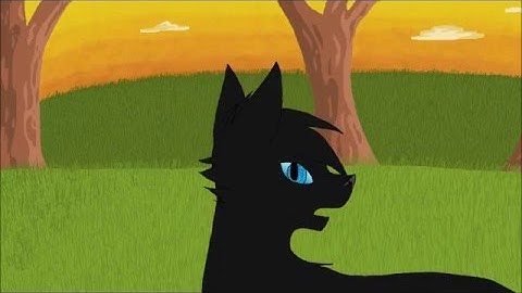 Leafpool and Crowfeather MAP (part 3)