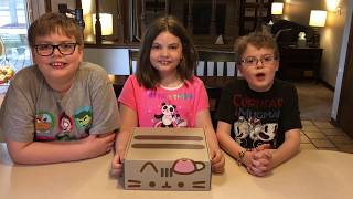PUSHEEN BOX Spring 2019 UNBOXING!! 🐱 | KIDS LIFE 365 | 4.29.19