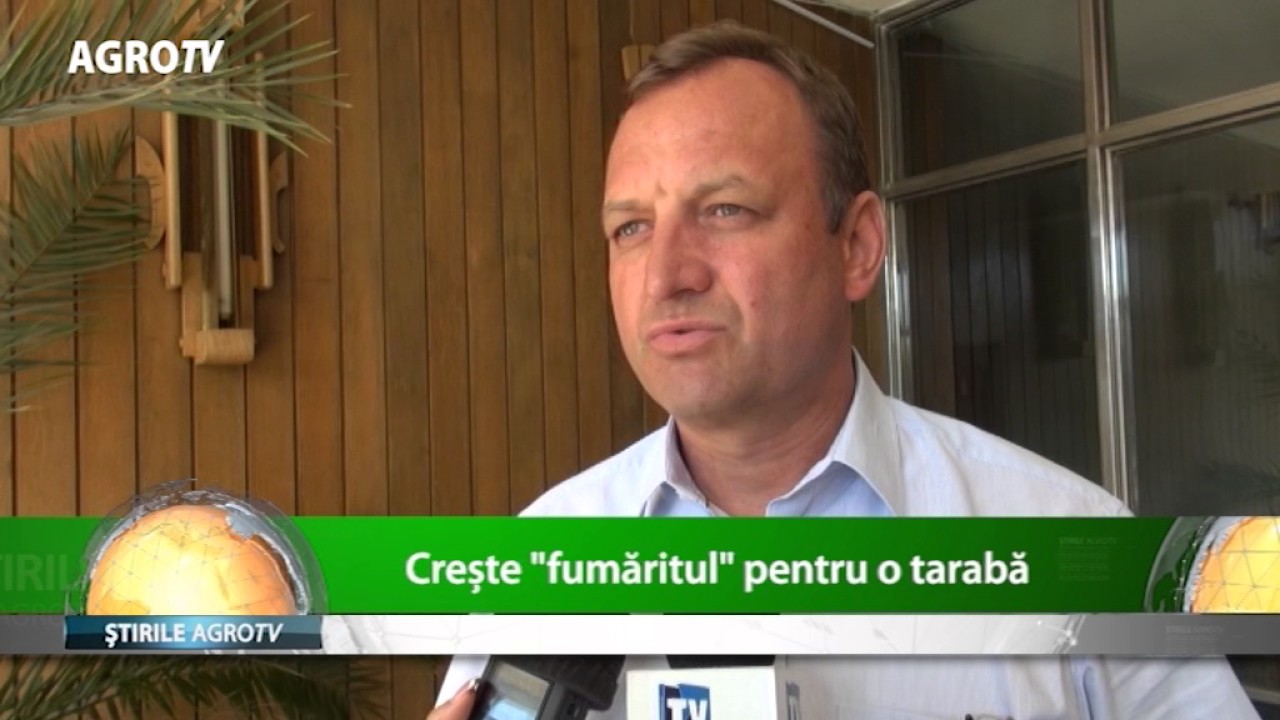 PIEȚELE VOLANTE, FĂRĂ CUMPĂRĂTORI ÎN IAȘI 1 PIEȚELE VOLANTE, FĂRĂ CUMPĂRĂTORI ÎN IAȘI YouTube player