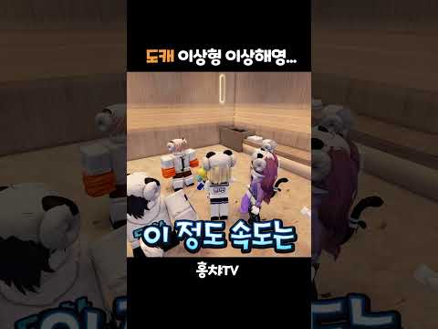 새멤버(남자)의 이상형은 남자인가요? #로블록스 #roblox #드림히어로즈 thumbnail