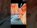ITS NOT POOP I SWEAR😭 #fypシ゚viral #funnyshorts #goofyahh #silly #clipped #oop #funny #hehehe