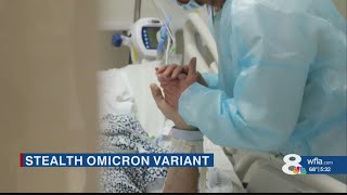 Tampa Bay area medical experts closely watching 'Stealth Omicron' variant