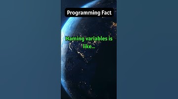 Why Naming Variables is a Mind Game! 🧠💻 #programming #python #ai #youtubeshorts