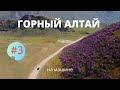 Алтай на машине.Что посмотреть? Телецкое озеро.