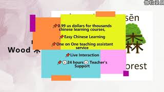 0 99 US DOLLARS Chinese Online Program