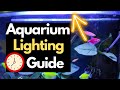 Optimal Aquarium Lighting: Balancing Light and Darkness for Healthy Fish