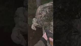 От чего они погибли? #callofpripyat #gunslingermod #stalker #сталкерзовприпяти #сталкер