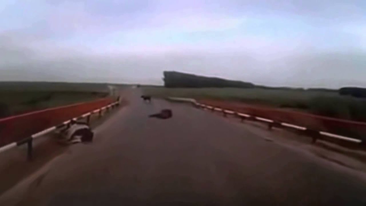 Авария солярис и фура