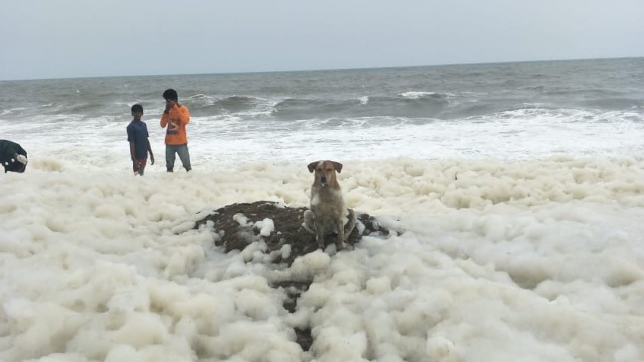 😱 Kollam Beach in Kerala