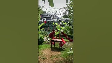سورة الكهف_ الْحَمْدُ لِلَّهِ الَّذِي أَنزَلَ عَلَى عَبْدِهِ الْكِتَابَ وَلَمْ يَجْعَل لَّهُ عِوَجًا
