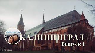 Калининград2024.1 выпуск.Калининградский зоопарк.Башня Врангель.Рыбная деревня.Остров Канта