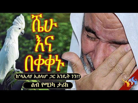 ቪዲዮ: የሴቶች ልብ አሸናፊ ሶሶ ፓቪሊያቪቪሊ-የሕይወት ታሪክ እና የግል ሕይወት