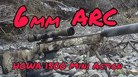 6mm ARC Howa Mini First Impressions