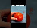 كويتركات لايك   كواي إتعلم مع عطية