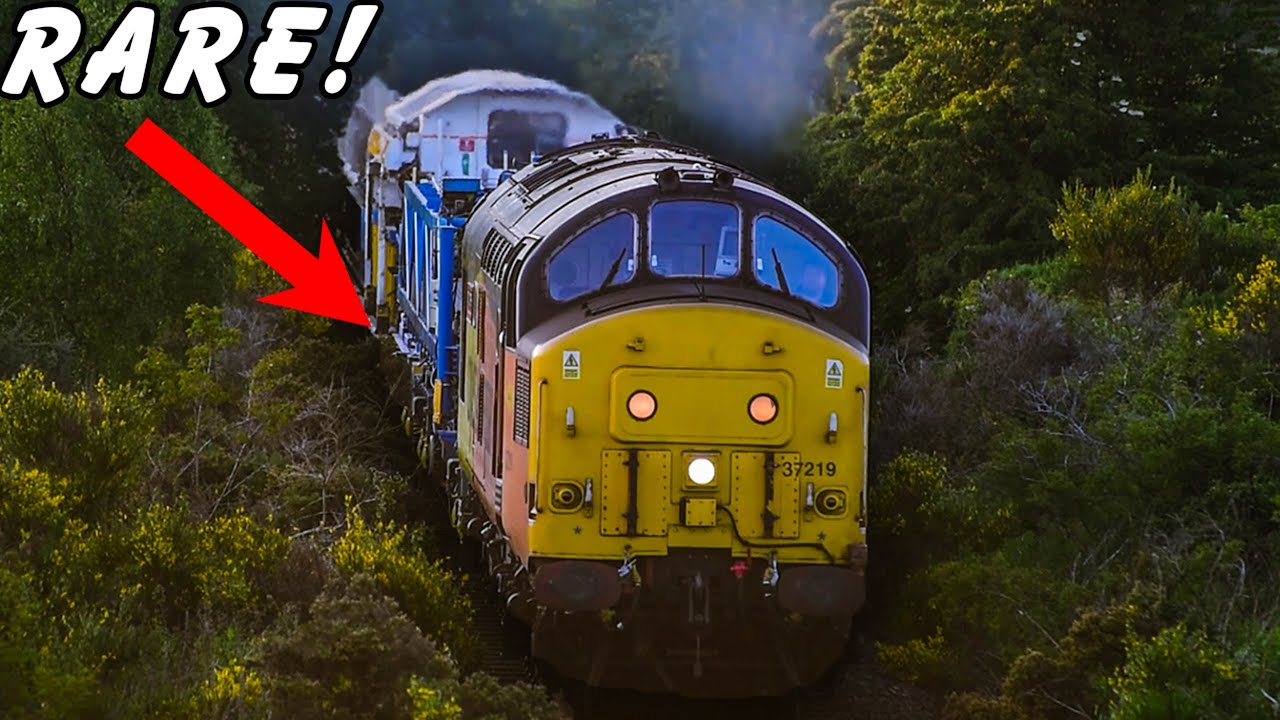 RARE Class 37 Engineer Train + First Ever Colas 66 to the North of Scotland!