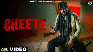Download Lagu MASOOM SHARMA : Cheete (Official Video) | Manjeet Mor | Pinna Music | New Haryanvi Song 2025 | MP3 Download Lagu MASOOM SHARMA : Cheete (Official Video) | Manjeet Mor | Pinna Music | New Haryanvi Song 2025 | MP3