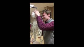 Mannequin Challenge - Union College PA Program