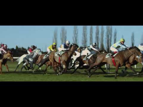 Принцип Анны Карениной