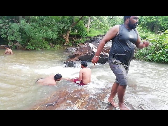 IN Nallamala forest River Sagileru class=