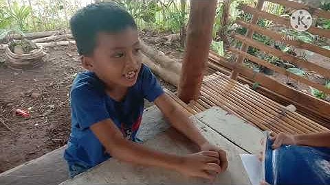 Metacognitive Observation