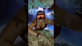Experience The Underwater World Through The Eyes Of A Free Diver