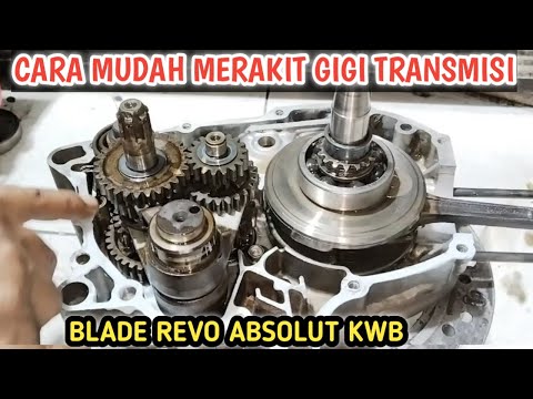 Merakit Gigi Rasio